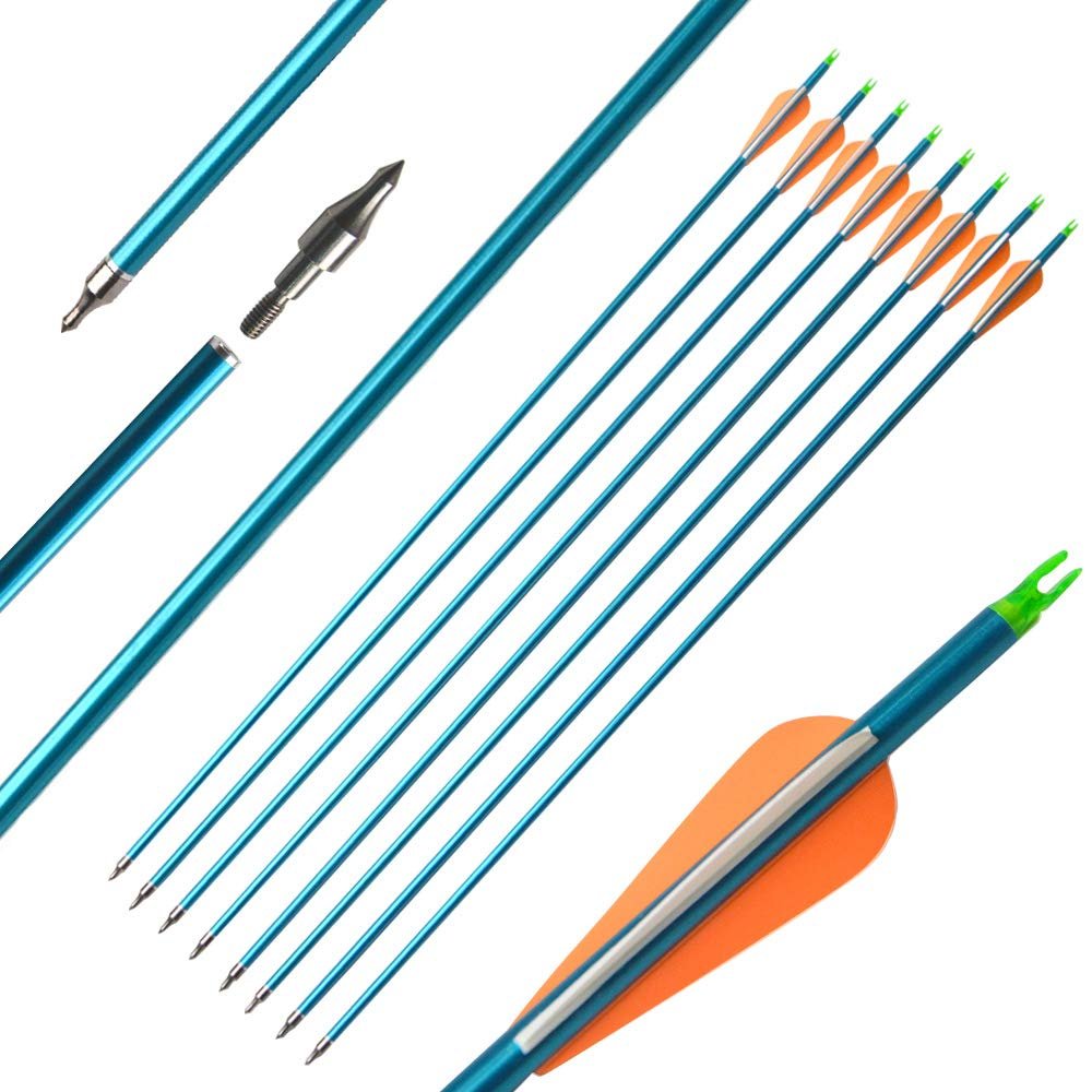 ZSHJGJR 31 Inch Archery Aluminum Arrow Spine 500 Hunting Target Arrows with Replaceable Tips for Recurve Compound Bow Shooting Practice 6 or 12pcs (12pcs)
