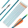 ZSHJGJR 31 Inch Archery Aluminum Arrow Spine 500 Hunting Target Arrows with Replaceable Tips for Recurve Compound Bow Shooting Practice 6 or 12pcs (12pcs) view 1