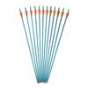 ZSHJGJR 31 Inch Archery Aluminum Arrow Spine 500 Hunting Target Arrows with Replaceable Tips for Recurve Compound Bow Shooting Practice 6 or 12pcs (12pcs) view 2