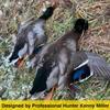 ESH The Freezer Goose Call  Short Reed Bicote Wood Goose Call for Waterfowl Hunting  Realistic Canada Goose Sounds, Durable Handcrafted Design view 4