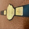 Big Gold Belt Replica Championship Belt view 1