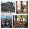 iunio Camo Netting, Camouflage Netting, Quiet Hunting Blinds, Military Shade Netting, Lightweight, Noise-Free, Great for Duck Hunting, Turkey Hunting, Photography, Decoration, Concealment, Covering view 4