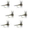 The Fly Fishing Place Blue Winged Olive BWO Classic Trout Dry Fly Fishing Flies - Set of 6 Flies Size 20 view 1