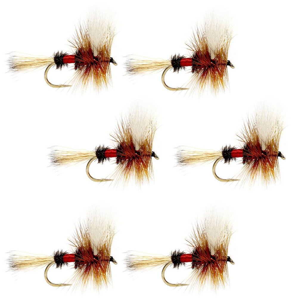 The Fly Fishing Place Royal Wulff Classic Trout Dry Fly Fishing Flies - Set of 6 Flies Size 10