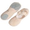 Daydance Elastic Canvas Pink Ballet Shoes/Slippers for Girls, Women view 1
