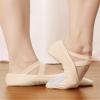 Daydance Elastic Canvas Pink Ballet Shoes/Slippers for Girls, Women view 2