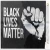 American Wholesale Superstore Black Lives Matter Fist Black Double Sided Rough Tex 68D Nylon 12"x18" Boat Flag view 3