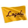 Desert Cactus Loyola University Chicago LUC Flag - 3 x 5 Feet Ramblers Banner, Indoor/Outdoor Durable Fabric, 100% Polyester Design (Style 4) view 1