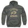 University of Colorado Official One Color Buffaloes Logo Unisex Youth Pull-Over Hoodie, Charcoal, X-Large view 1