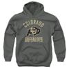 University of Colorado Official Buffaloes Logo Unisex Youth Pull-Over Hoodie, Charcoal, X-Large view 1