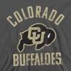 University of Colorado Official Buffaloes Logo Unisex Youth Pull-Over Hoodie, Charcoal, X-Large view 2