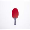 Fair Play- Holy Fish Professional Table Tennis Racket view 1