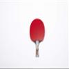 Fair Play- Rainbow Professional Table Tennis Racket view 1