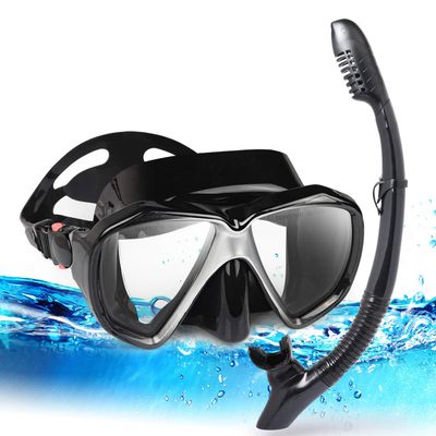 Adult Snorkel Set, Professional Snorkeling Gear Panoramic Anti-Fog Diving Goggles and Dry Snorkel Tempered Glass Scuba Mask for Diving, Snorkeling and Swimming (Black-Silver Set)