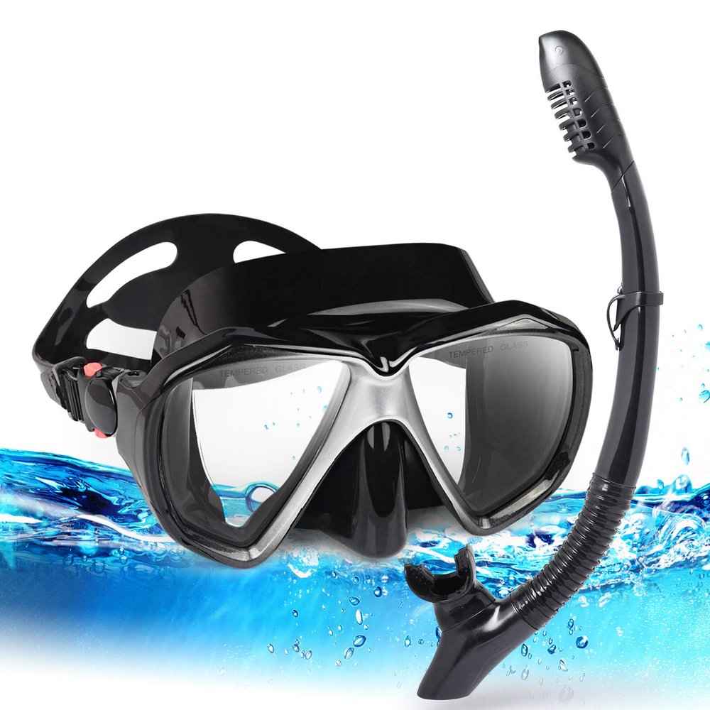 Adult Snorkel Set, Professional Snorkeling Gear Panoramic Anti-Fog Diving Goggles and Dry Snorkel Tempered Glass Scuba Mask for Diving, Snorkeling and Swimming (Black-Silver Set)