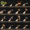Wifreo 120pcs Fly Fishing Flies Assortment, Trout, Bass, Panfish, Salmon Flies with Waterproof Fly Box view 2
