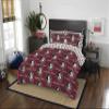NORTHWEST NCAA Florida State Seminoles Unisex-Adult Bed in a Bag Set, Full, Rotary view 1