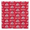Northwest NCAA Ohio State Buckeyes Unisex-Adult Bed in a Bag Set, Queen, Rotary view 2