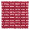 Northwest NCAA Indiana Hoosiers Unisex-Adult Bed in a Bag Set, Queen, Rotary view 3