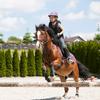 Horse Riding Safety Helmet,Protective Head Gear Horseback Helmet for Equestrian Riders for 2 to 6 Year olds (Small, Pink) view 3