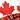Canadian Flag Plaid Flutter Style Golf/Tennis Skort | Maple Leaf Running Skirt (Large) White view 1