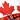 Canadian Flag Plaid Flutter Style Golf/Tennis Skort | Maple Leaf Running Skirt (XSmall) White