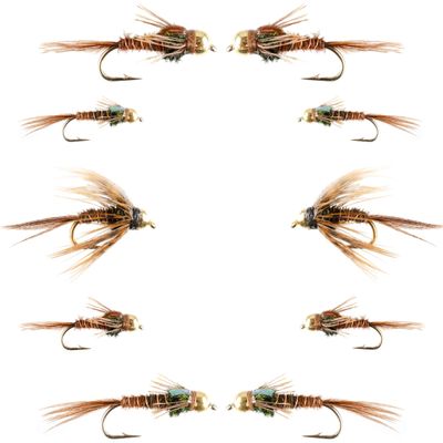 The Fly Fishing Place Basics Collection - Bead Head Pheasant Tail Nymph Assortment - 10 Wet Flies - Hook Sizes 14, 16, 18