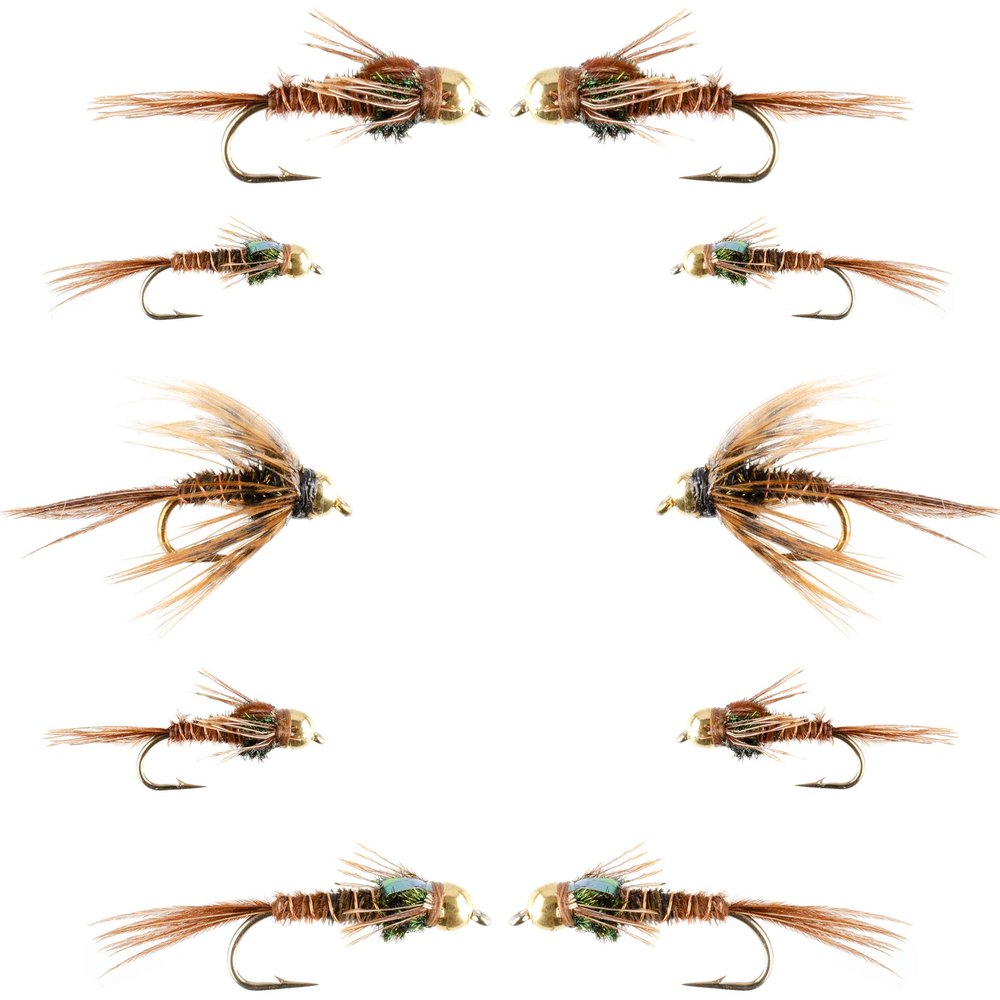 The Fly Fishing Place Basics Collection - Bead Head Pheasant Tail Nymph Assortment - 10 Wet Flies - Hook Sizes 14, 16, 18