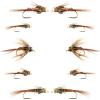 The Fly Fishing Place Basics Collection - Bead Head Pheasant Tail Nymph Assortment - 10 Wet Flies - Hook Sizes 14, 16, 18 view 1
