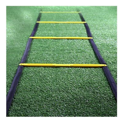 Speed Agility Ladder, Training Ladder Snap Link Fixed Spacing, Flexible and Durable Easy to Carry Speed Basketball Football Fitness Foot Training XXIOJUN (Color : Yellow, Size : 6/2.5m)