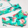 Tropical Dance Bandeau Bikini view 2