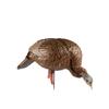 Avian-X HDR Feeding Hen Turkey Decoy view 3