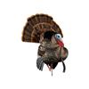 Avian-X HDR Strutter HDR Turkey Decoy view 1