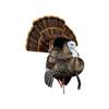 Avian-X HDR Strutter HDR Turkey Decoy view 2