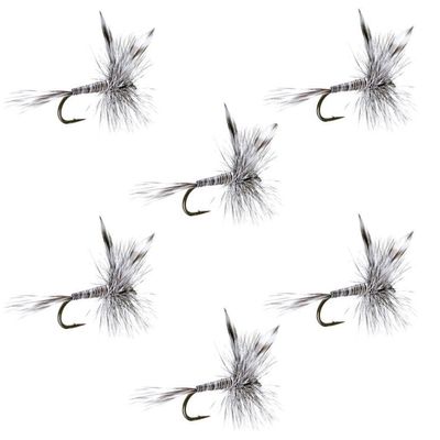 The Fly Fishing Place Mosquito Classic Trout Dry Fly Fishing Flies - Set of 6 Flies Hook Size 18