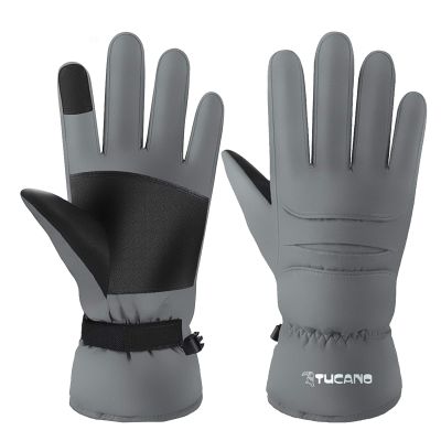 FUFU Gloves Winter Warm Gloves, Touchscreen Gloves Windproof Water-Resistant Thermal Cotton Non-Slip Gloves (Color : Gray)