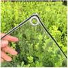 ZHANGQINGXIU PVC Heavy Duty Tarpaulin, Outside Waterproof Tarpaulin Curtain for Gazebo Garden Camping Weatherproof Barrier (400 G/M), 24 Sizes (Color : Clear, Size : 2.4x2m) view 3