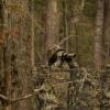 LOOGU Camo Netting, Camouflage Netting for Sunshade, Camping, Shooting and Hunting and Many More (13x16.5ft, 4Mx5M, LOOGU Super Tree 2.0) view 4