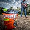 Antler King Great 8 Annual Food Plot | Eight Great Deer Favorites in One Food Plot High Protein & Palatable Energy | Plants 1/4 Acre view 4