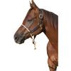 Professional's Choice Sports Medicine Products, INC. Nylon Halter Rope Nose AVG view 2
