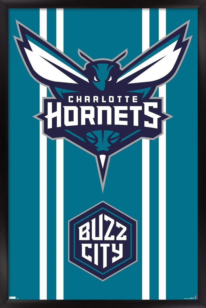 Trends International NBA Charlotte Hornets - Logo 20 Wall Poster, 34L x 22.4W, Black Framed Version