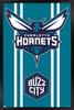 Trends International NBA Charlotte Hornets - Logo 20 Wall Poster, 34L x 22.4W, Black Framed Version view 1