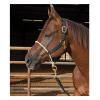 Professional's Choice Sports Medicine Products, INC. Nylon Halter Rope Nose SML view 2