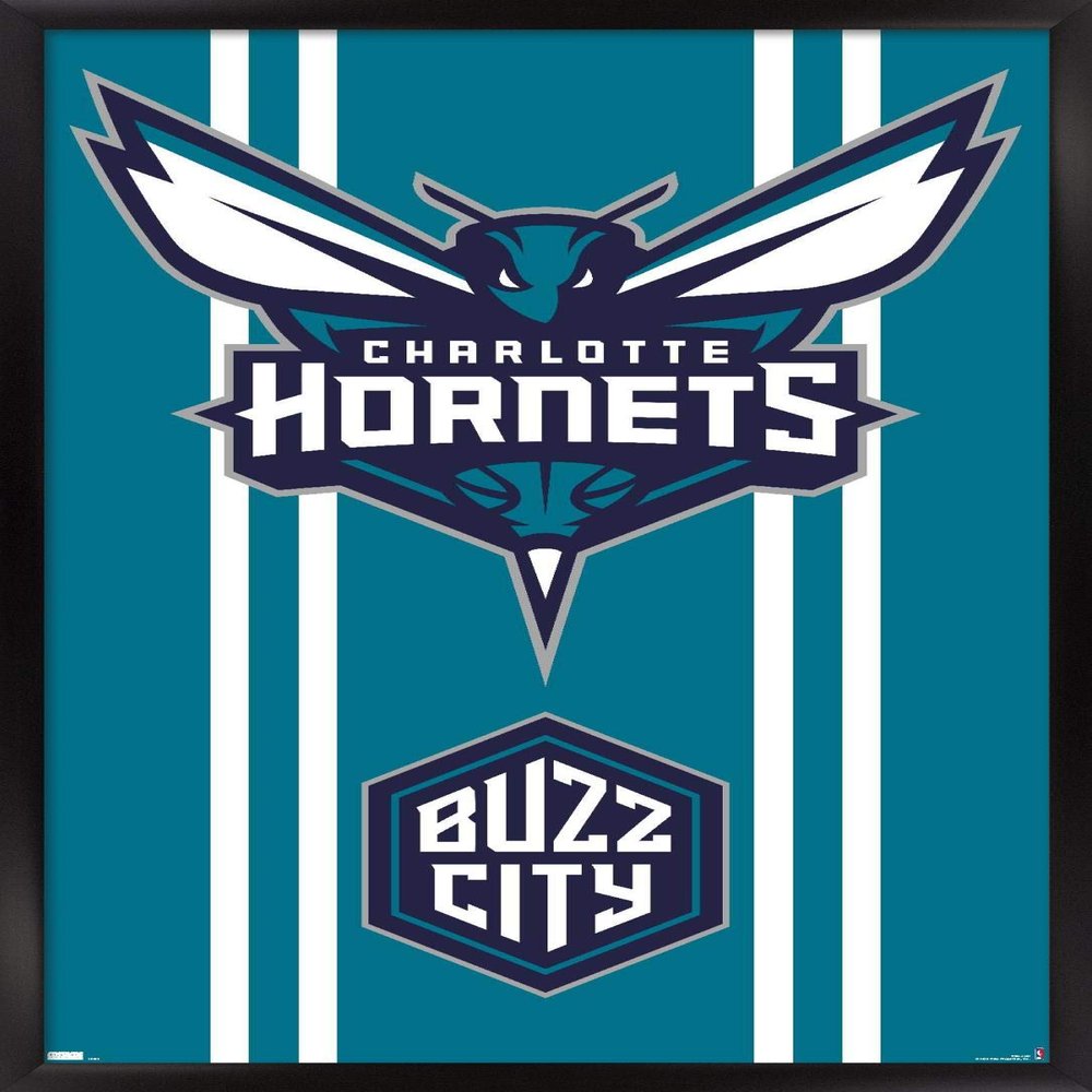 Trends International NBA Charlotte Hornets - Logo 20 Wall Poster, 22.4L x 14.7W, Black Framed Version