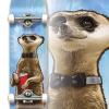 Holiday Party Animals Meerkat Complete Skateboard for Beginners Kids Teens Adults view 4