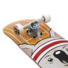 Holiday Sporting Animals Koala Complete Skateboard for Beginners Kids Teens Adults view 2