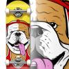 Holiday Sporting Animals English Bulldog Complete Skateboard for Beginners Kids Teens Adults view 4