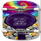 Holiday Party Animals Gorilla Complete Skateboard for Beginners Kids Teens Adults