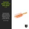 Breakthrough Clean Technologies Phosphorus Bronze Bristle Bore Brush, 12-Gauge view 3