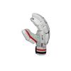 NB TC 860 Cricket Batting Glove New Balance Batting Gloves for Cricket Men Right Hand Premium Quality view 3